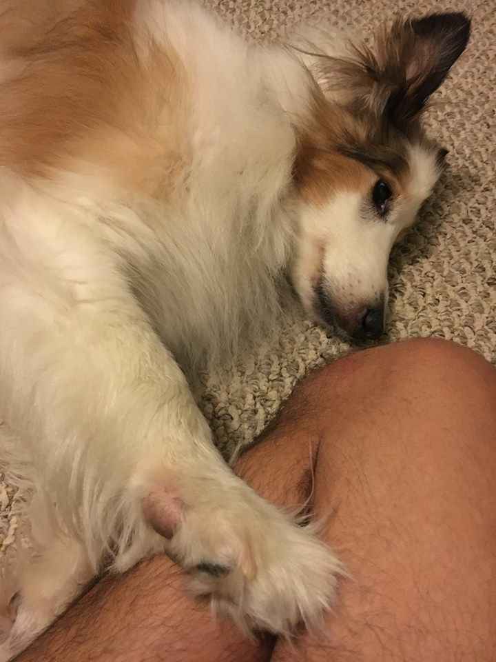 Alterations and RSVPs! (plus dog pics in comments ;)