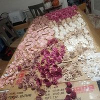 Solawood Flowers - 1