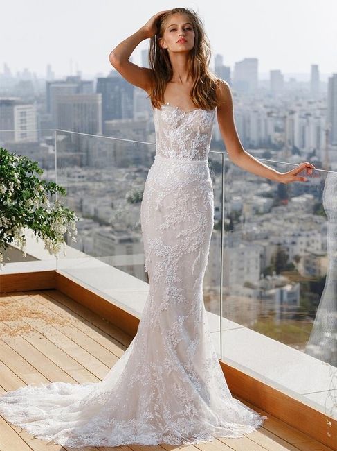 What to wear under a dress with a semi sheer bodice? 1