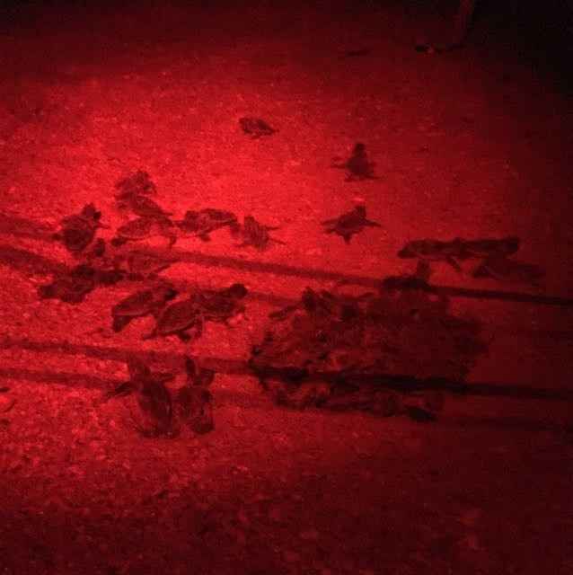 Share your engagment story!