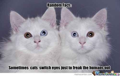 would getting married in court room before actual wedding mess up aniversary date?