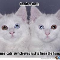 would getting married in court room before actual wedding mess up aniversary date?