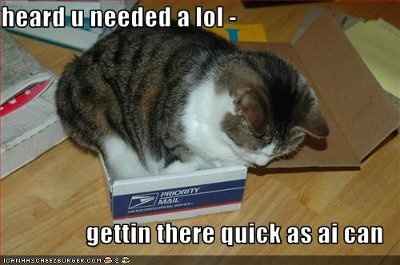 A FREAKING BUZZ KILL!  NWR Make me laff!