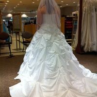 Not a vendor...how much is your dress?