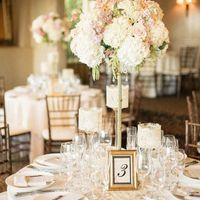 Elevated centerpiece