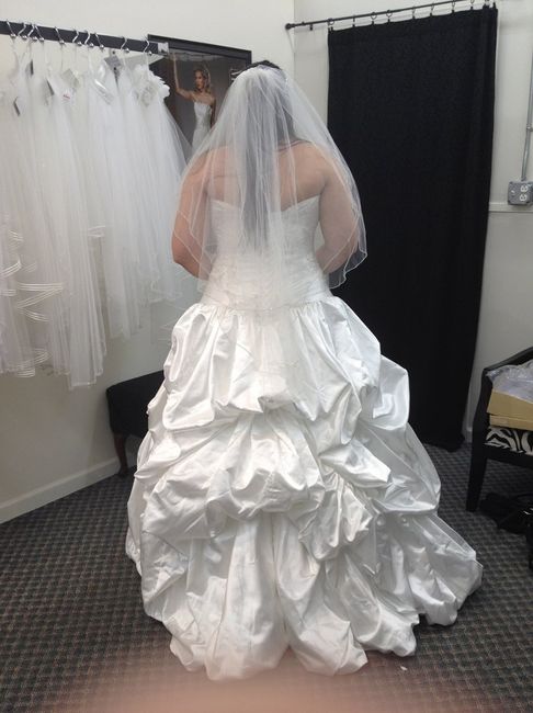 Ball gown...Cathedral, Elbow or Fingertip lenght Veil? Help!!!