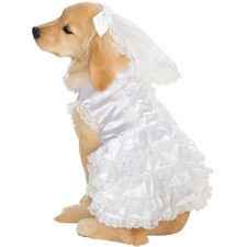 Having fun planning because of my WW "girls" :)