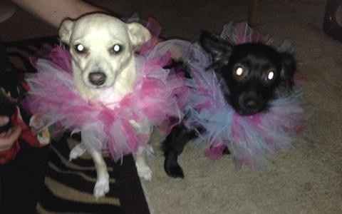 I'm in need of a post like this! {POST YOUR PICS!}