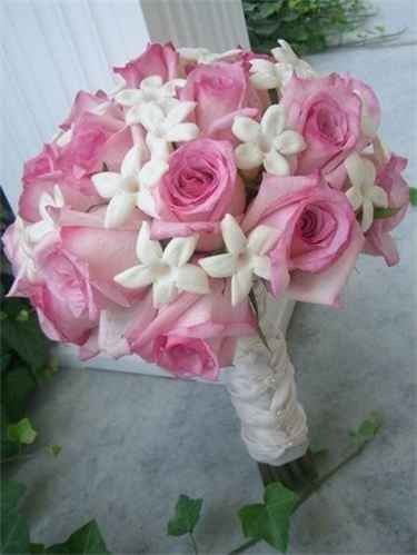 Can anyone name this flower?