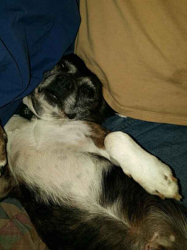 Post a pic of something that makes you happy!