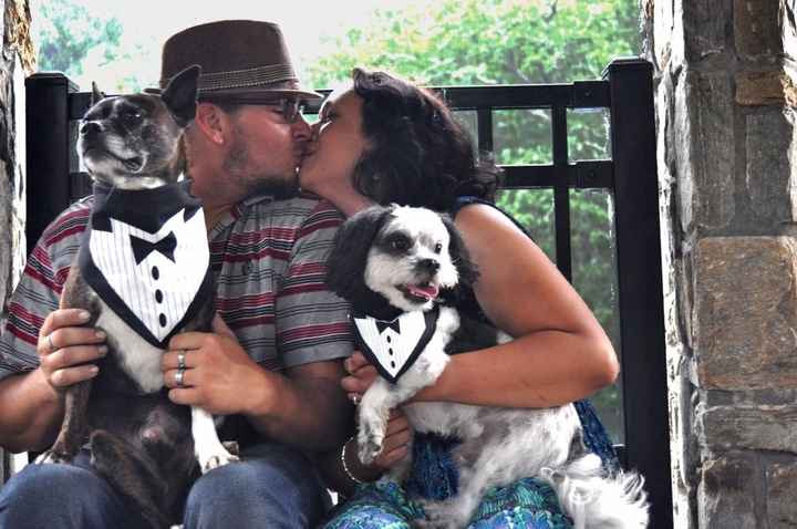 My dogs in my engagement pictures