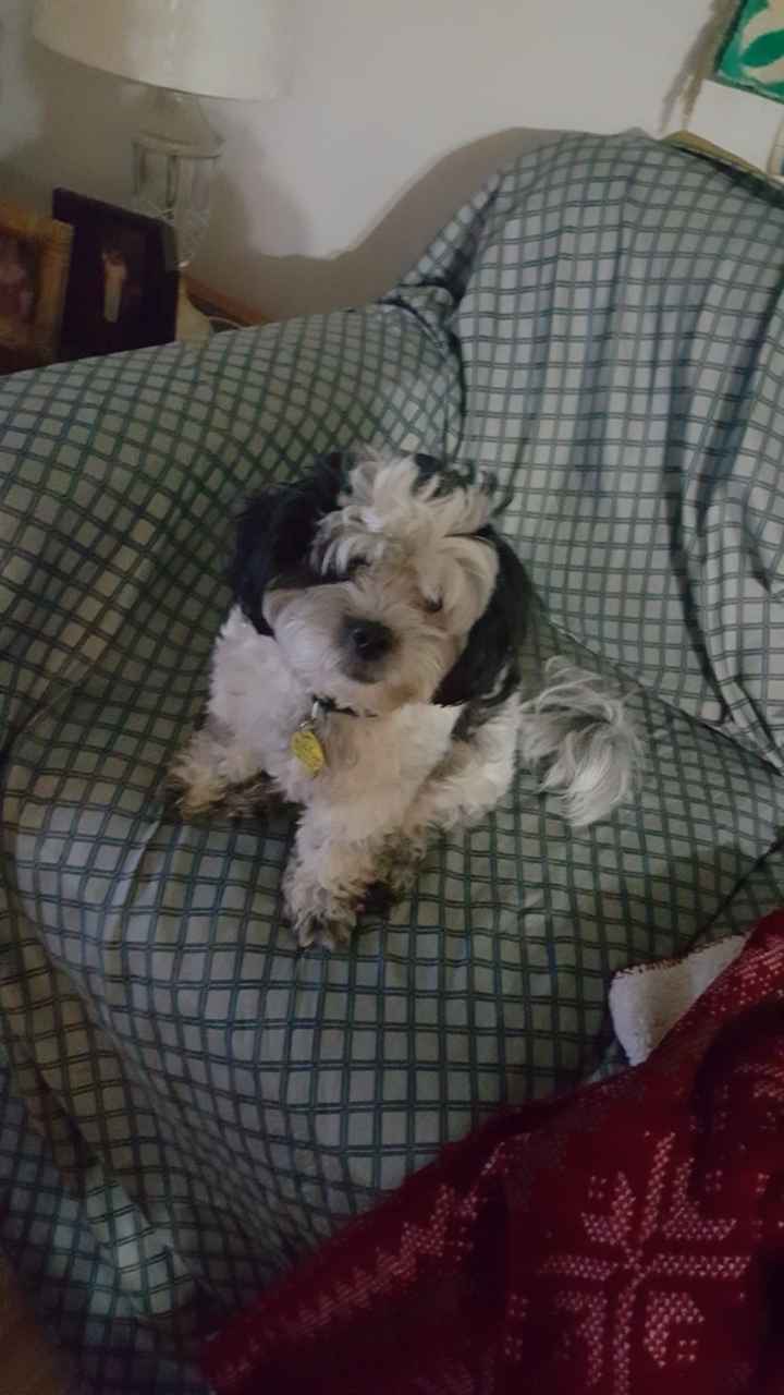 Need some positivity: Sick for the Wedding?