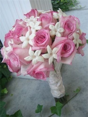 Can anyone name this flower?