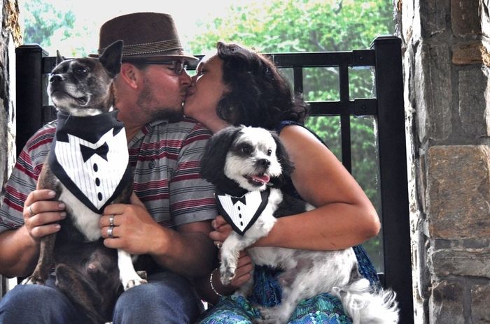 My dogs in my engagement pictures