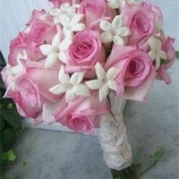 Can anyone name this flower?