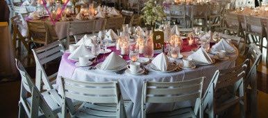 Help me choose which one. Please.