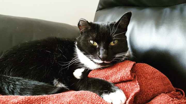 NWR: Need some well wishes