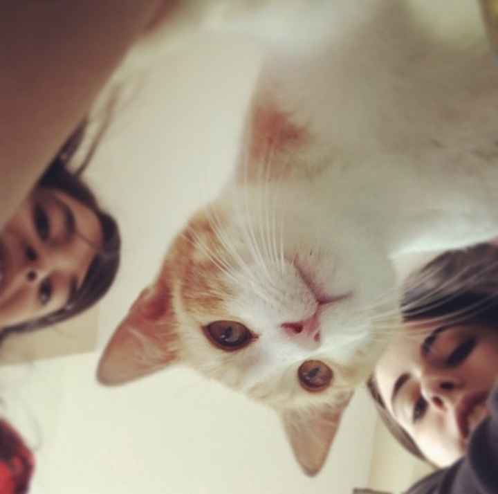 NWR: My pup thinks she's people. She's right. Show me your "people pups!"