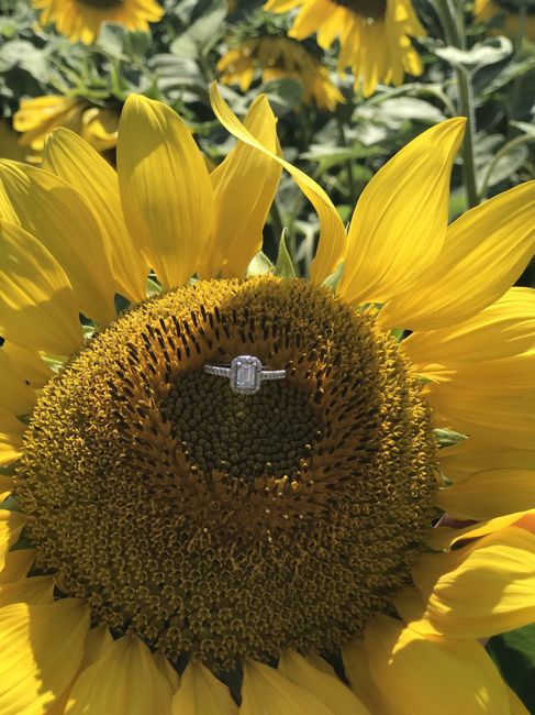 Let's see your rings!! <3