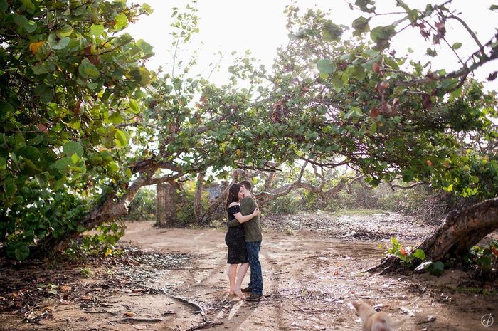 Calling all Curvy Brides 12