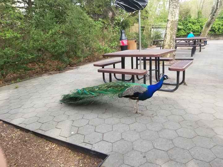 Show Off Your Wedding Venue!! - 2