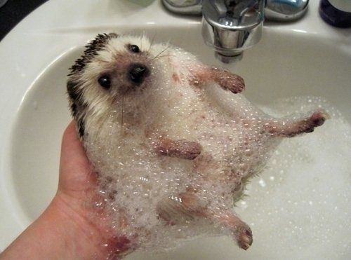 AWWWWWW