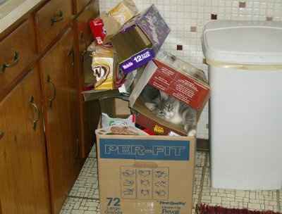 NWR: Lets see our pets!!