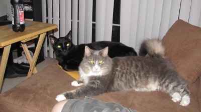 It's my baby's 1st Birthday! (PICS)