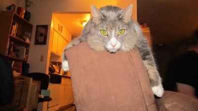 It's my baby's 1st Birthday! (PICS)