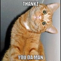 I Hayley, being of sound mind & of my own volition do hereby acknowledge this post as my last Will &