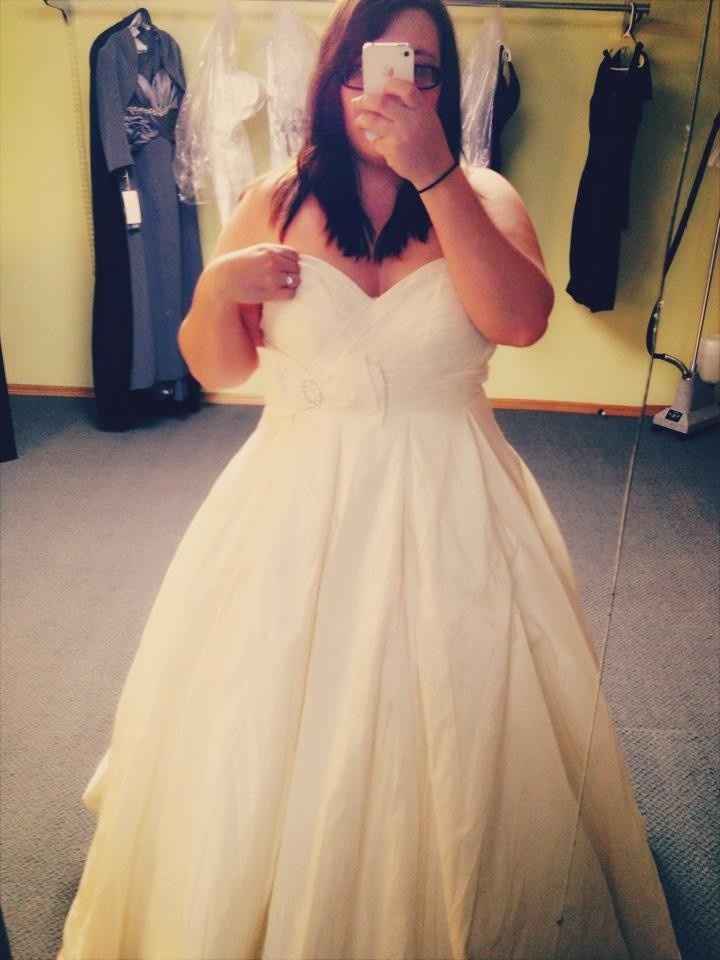 I had a Dress Fitting Yesterday!