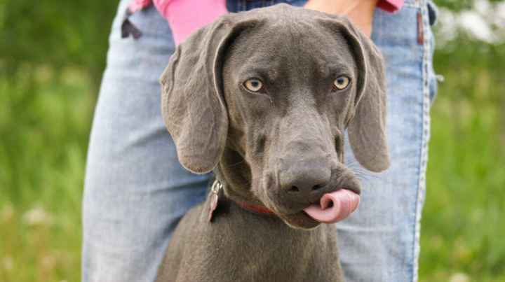 Just for fun, lets see your crazy pet child....