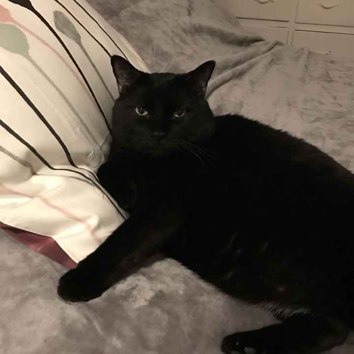 Post a pic of something that makes you happy!