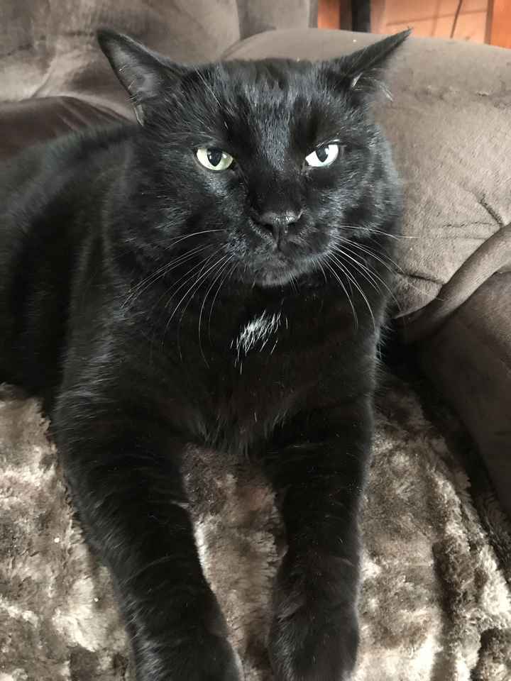 Show me your fur babies!