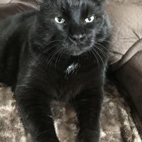 Show me your fur babies!