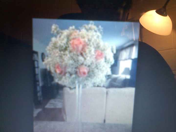 My Flower Ideas!!!!!!