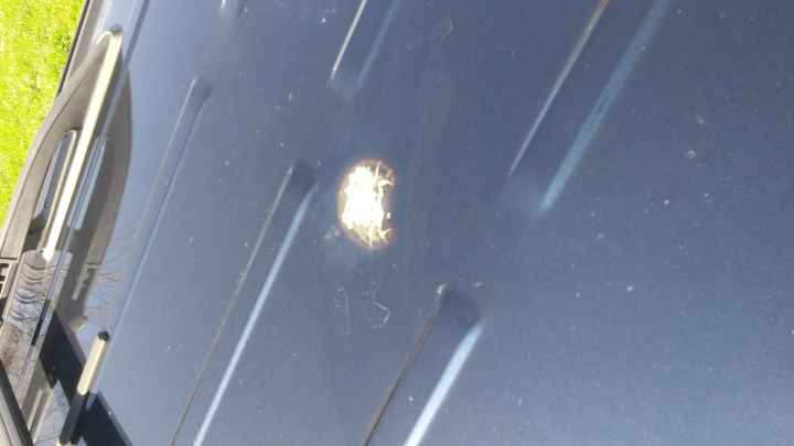 NWR- My week from HELL!!!!!