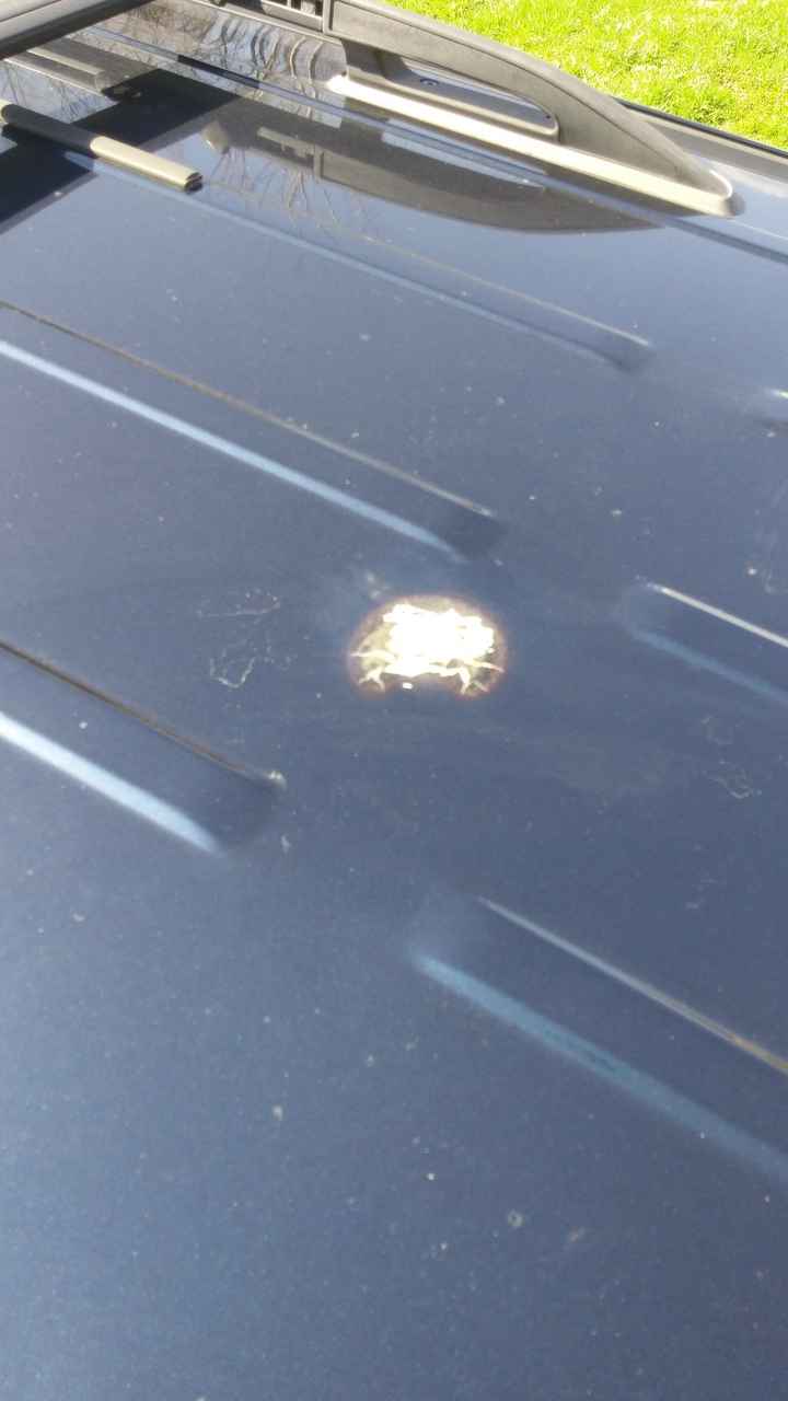 UGH!!!!!! Let The Stress Begin LOL!!!!!!!