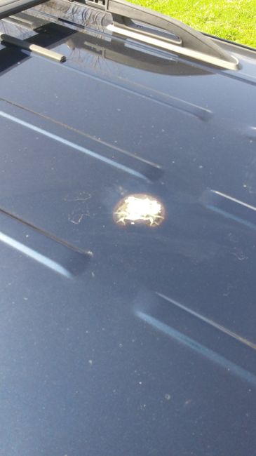 NWR- My week from HELL!!!!!