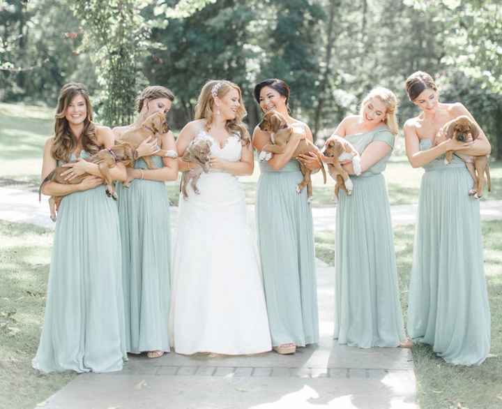 So can I have a second wedding?