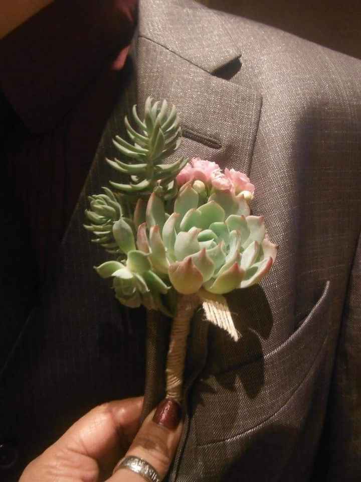 Succulents!!