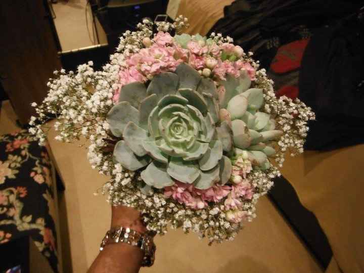 Succulents!!