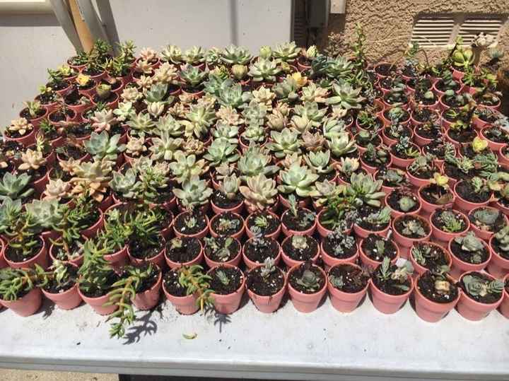 Show Off Your Wedding Favors!