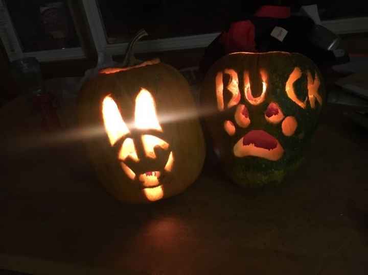 NWR: Cannon wants to share his pumpkin!