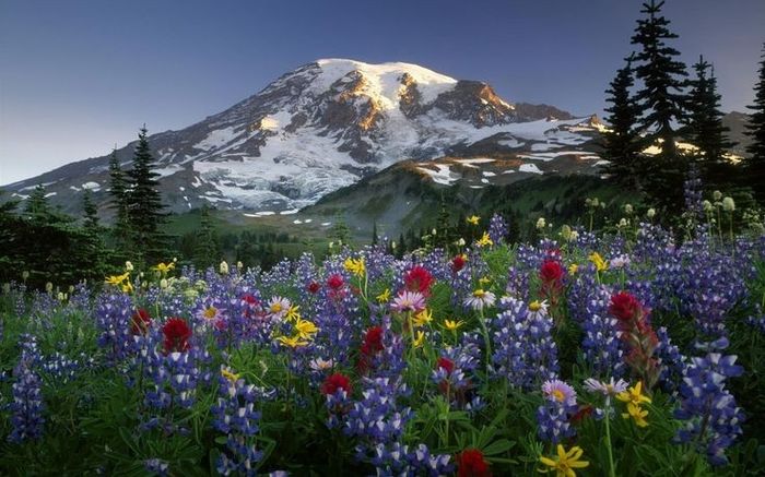 USA Honeymoon Locations