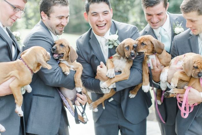 So can I have a second wedding?