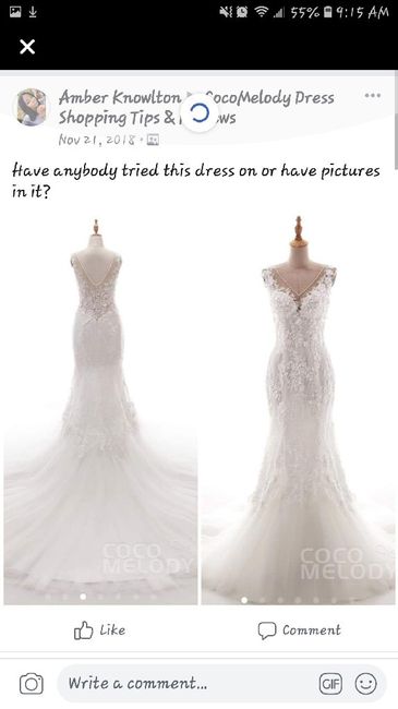 Wedding dress decisions...advice/opinions - 2