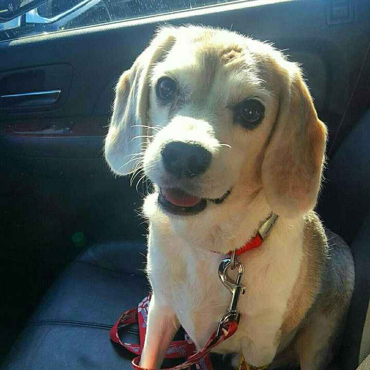 NWR- let me see your fur babies, awake and scared