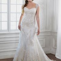 Wedding dress decisions...advice/opinions - 1