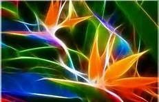 What are your wedding colors?